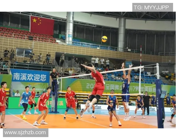 上海排球队灵活性创新高引发全国关注排球界新标杆诞生